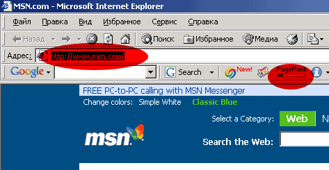 Главная страница MSN имеет Google PageRank 2